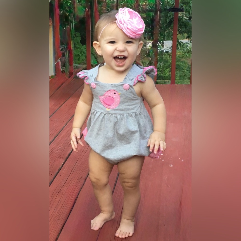 Toddler Gray Romper Dress with Pink Bird Applique